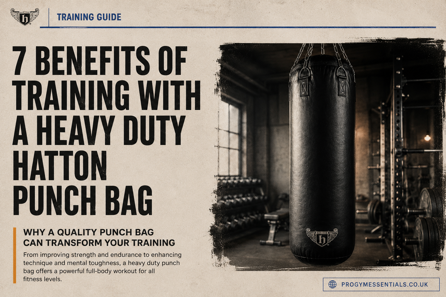 Heavy duty Hatton punch bag guide – boxing training equipment for improving strength, conditioning, endurance and punching technique