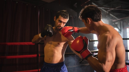 BoxMaster Boxing Trainer UK | Pro Gym Essentials