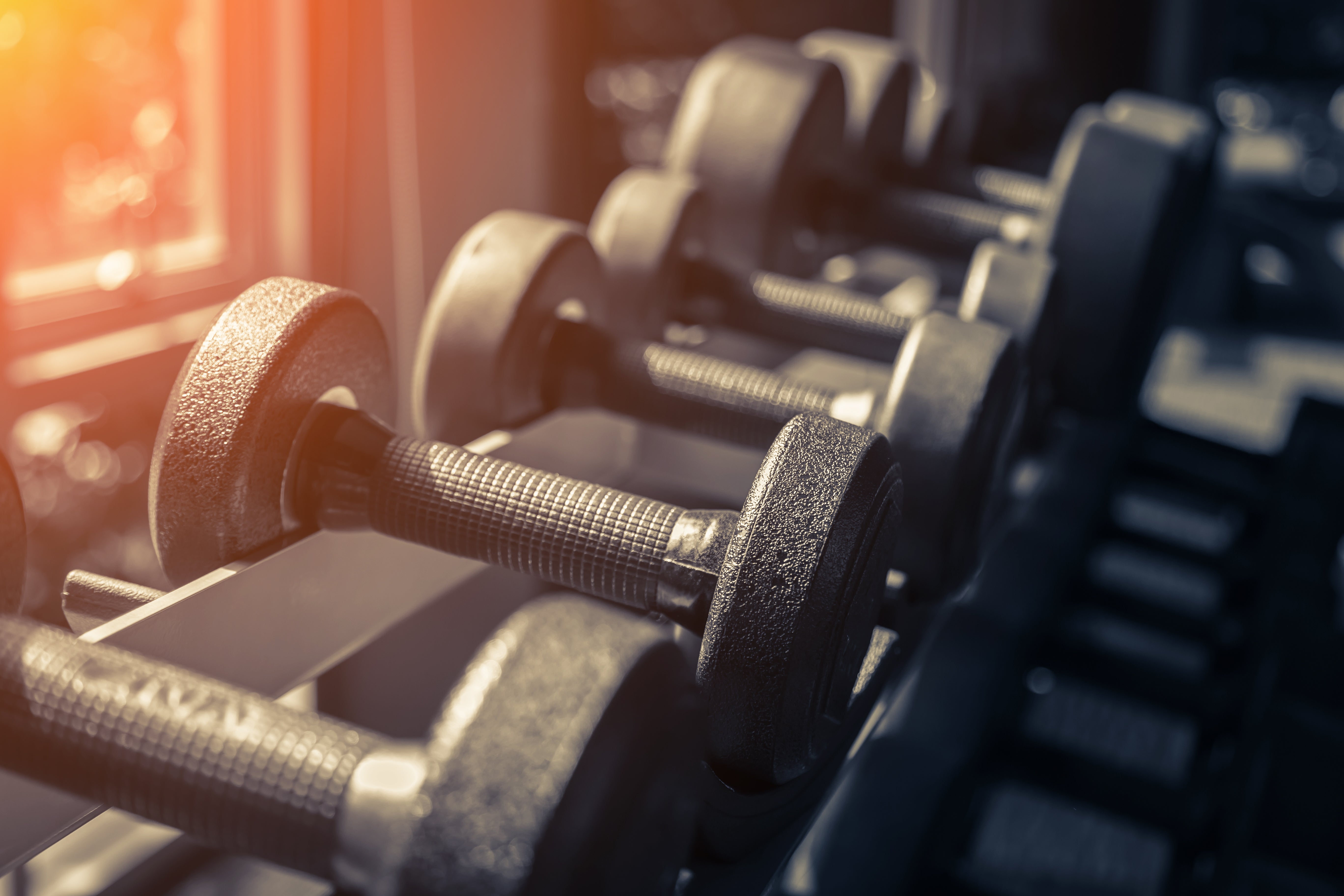 Dumbbell on dumbbell rack