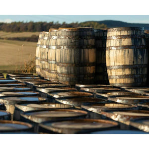 The Cold Plunge Barrel - Pro Gym Essentials