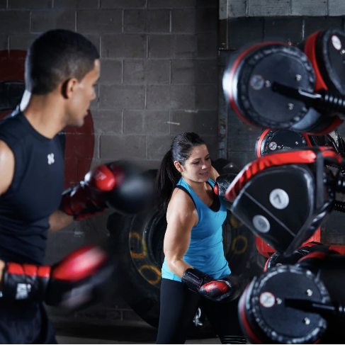 Boxmaster Quad - Pro Gym Essentials