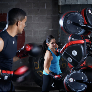 Boxmaster Quad - Pro Gym Essentials