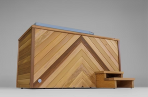 The Ice Bath - Pro Gym Essentials