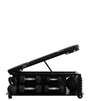 Nautilus Throwdown FXD Bench