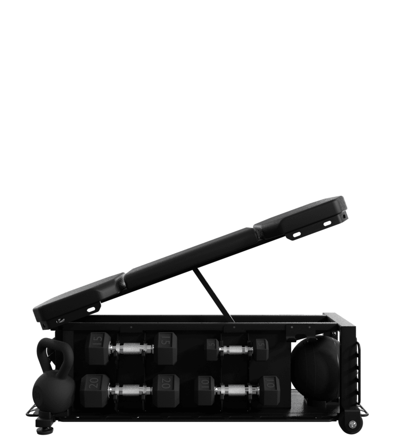 Nautilus Throwdown FXD Bench