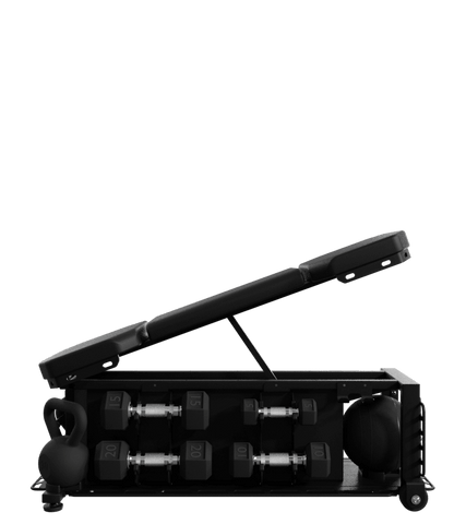 Nautilus Throwdown FXD Bench